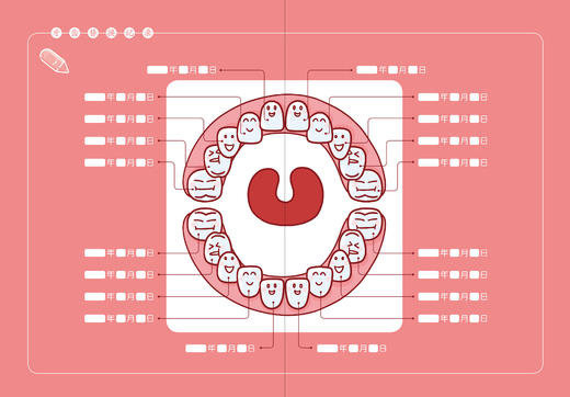 《邓辉奶奶讲给孩子的第一本护牙书》 商品图3