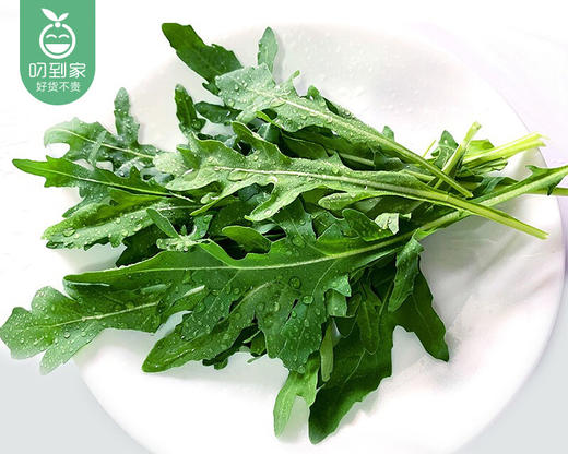 八市手工荠菜小馄饨/1盒（约265g）生产日期：12月20日左右补单专用 商品图2