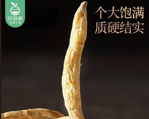 柘荣太子参（干货）/1罐（100g）生产日期：12月18日左右补单专用 商品图2