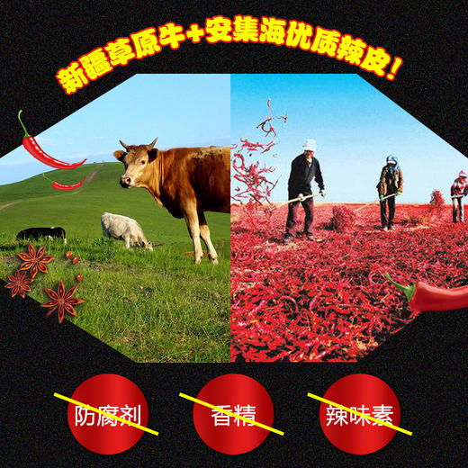 （代理专用）100g牛肉酱 商品图3