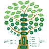 全域自主理念树 商品缩略图4