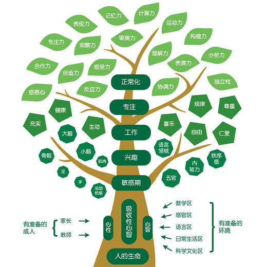 全域自主理念树 商品图4