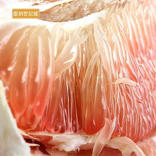 【bn】越南红心蜜柚 1个 - 世纪生活