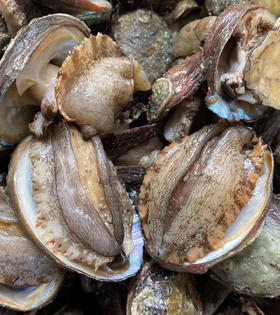 深海海鲜套餐A(黄翅鱼+鲍鱼+大带鱼段+斑节虾+虾丸)