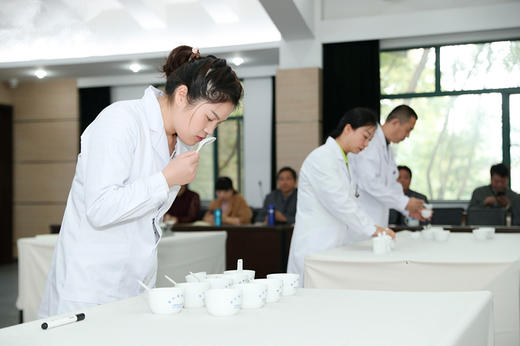 茶艺师和评茶员职业考证培训指导 商品图3