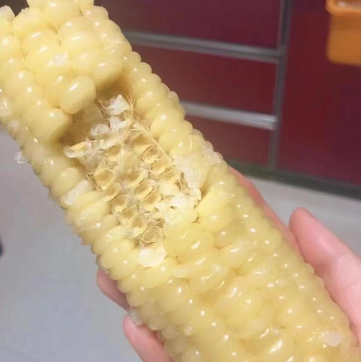 【阿苞哥】甜糯玉米团购价50 商品图1