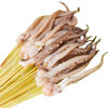 铁板烧烤鱿鱼须串海鲜小串新鲜冷冻  20支 商品缩略图0