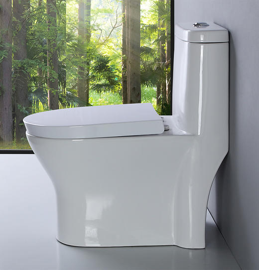 SQ：0321 8D大管道马桶 商品图3