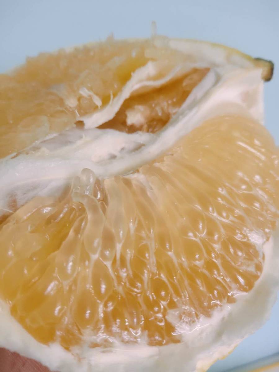 【匠心极"西施柚"】全新上市!