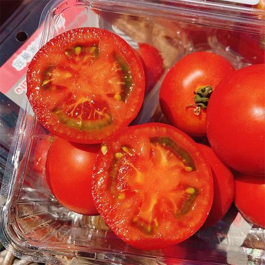 【丽妃蜜水果番茄】约4.5斤/箱，顺丰包邮 商品图0