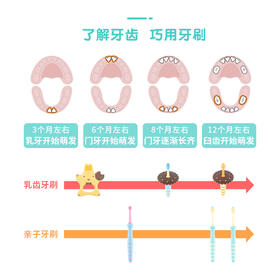 Richell利其尔儿童牙刷3岁宝宝牙刷软毛牙刷儿童婴幼儿婴儿乳牙