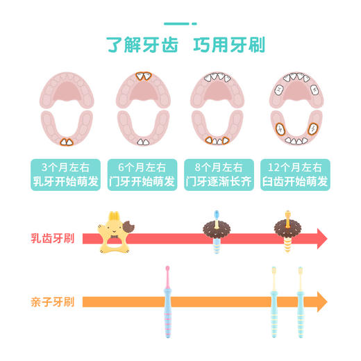 Richell利其尔儿童牙刷3岁宝宝牙刷软毛牙刷儿童婴幼儿婴儿乳牙 商品图0