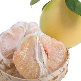 原产地爆款 8.8元/个 ! 琯溪白柚 约1900g