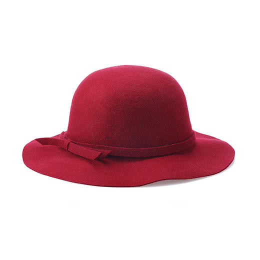 丁摩 帽子2020秋冬季简约新款纯羊毛帽WX187 商品图4