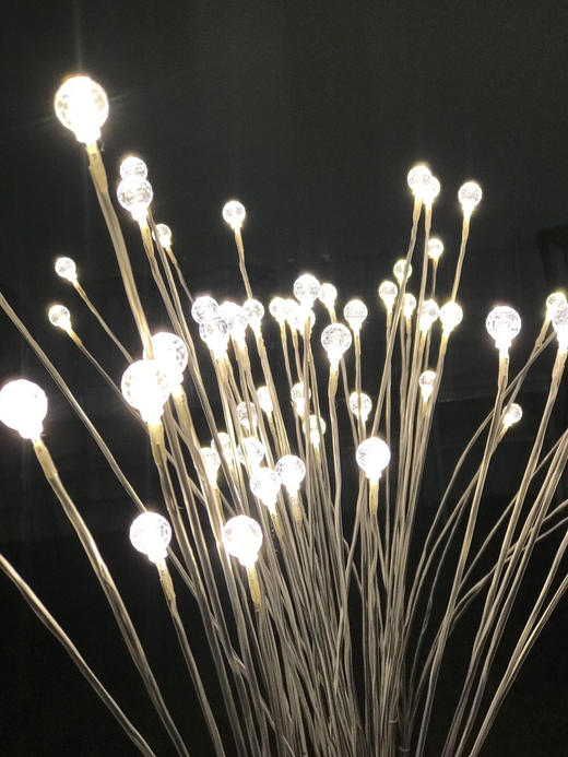 5头高光满天星地插【运费自理】 商品图7