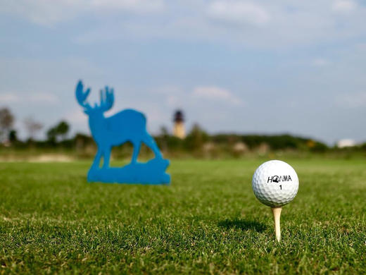 江苏泰州华侨城高尔夫球会 商品图1