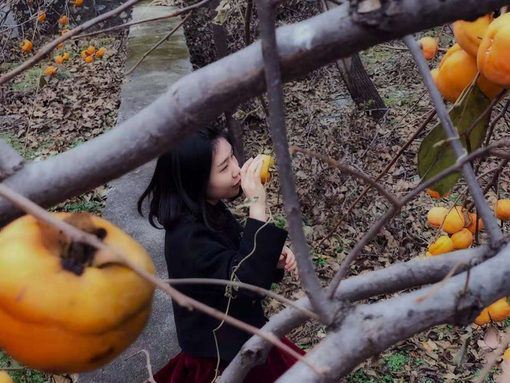 把 鲜柿子神奇的口