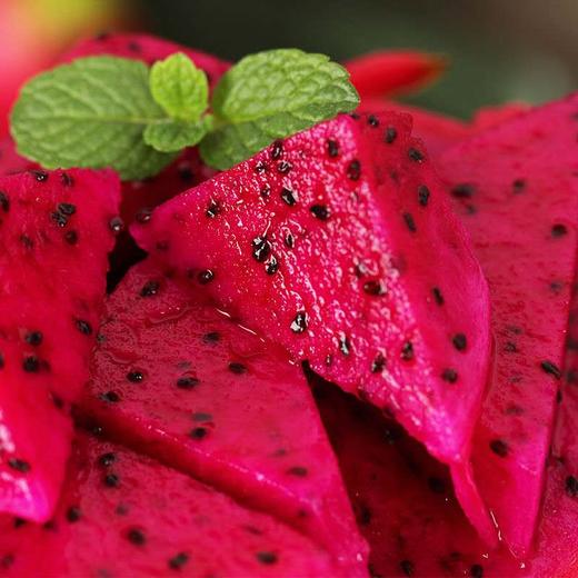 海南红心火龙果2个 约1000g 商品图7