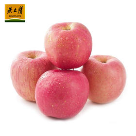 黄土情 延安苹果水果苹果新鲜红富士12颗尺寸75mm