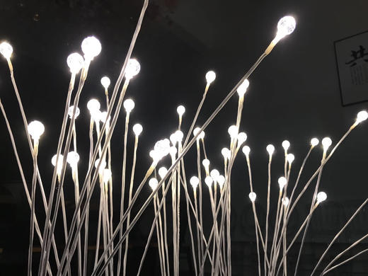 5头高光满天星地插【运费自理】 商品图5