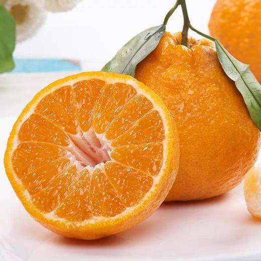 惊爆价2.8/斤(原价3.8) 不知火-丑橘8.6元/5个 约1600g 商品图3