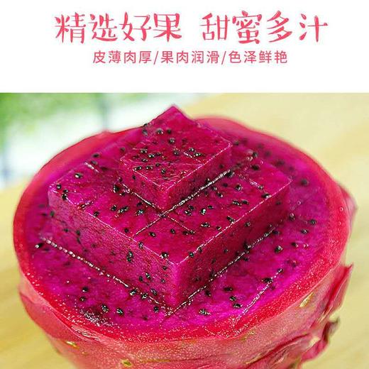 海南红心火龙果2个 约1000g 商品图0