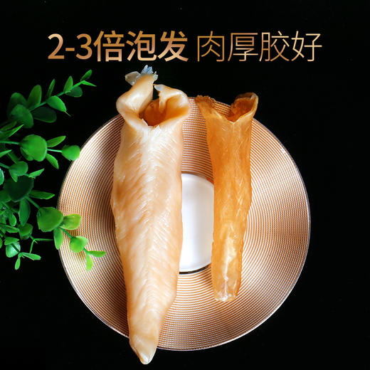 【蔡府甄选 干花胶】 60头大黄花胶100g 商品图5