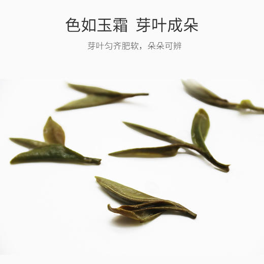 Chabiubiu2018年私房白牡丹茶 商品图2