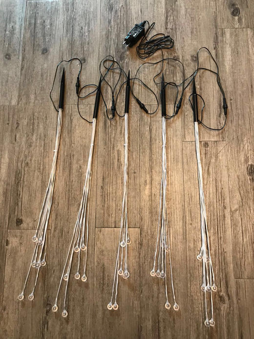 5头高光满天星地插【运费自理】 商品图4