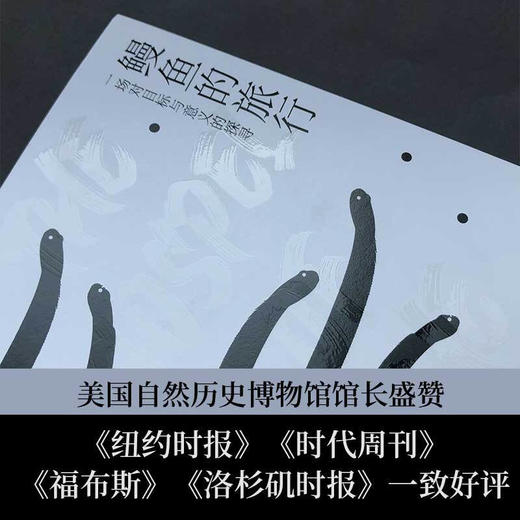 鳗鱼的旅行 帕特里克斯文松  瑞典文学鳗鱼神秘浪漫的生命之旅禅摩托车维修艺术外国现当代文学散文小说书籍 商品图1