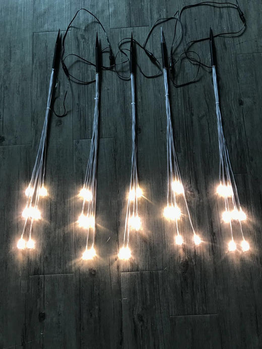 5头高光满天星地插【运费自理】 商品图6