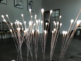 5头高光满天星地插【运费自理】