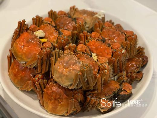 鲜活现货 红膏蟹  蟹肥膏黄要吃螃蟹了 商品图1
