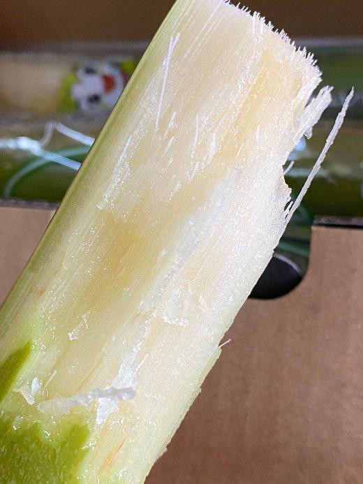 周六取货 ：【正宗陶山甘蔗】一箱毛重4斤左右，渣软多汁，脆甜松软！甜而不腻！营养丰富，天然种植！ 商品图1