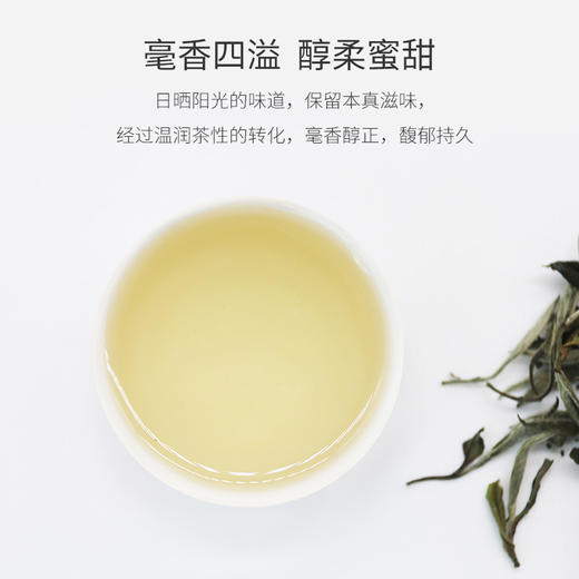 Chabiubiu2018年私房白牡丹茶 商品图1