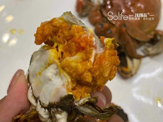 鲜活现货 红膏蟹  蟹肥膏黄要吃螃蟹了 商品图4