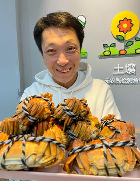 鲜活现货 红膏蟹  蟹肥膏黄要吃螃蟹了