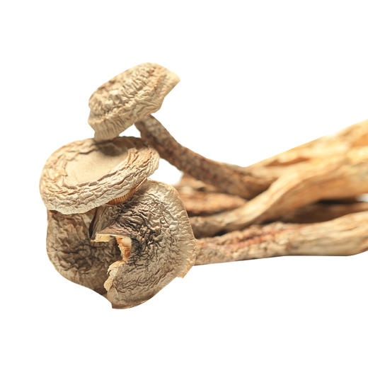 鹿茸菇150克一袋