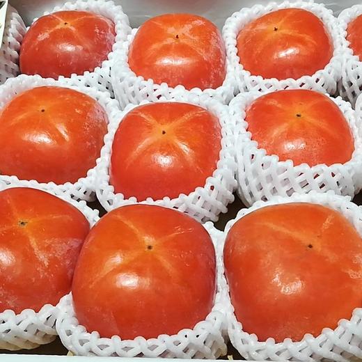 日本黑柿一箱1215个