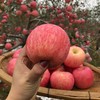 陕西洛川红富士苹果8-8.5斤装当季新鲜水果应季现摘苹果整箱包邮 商品缩略图1