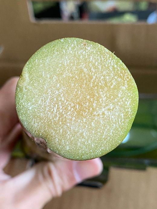 周六取货 ：【正宗陶山甘蔗】一箱毛重4斤左右，渣软多汁，脆甜松软！甜而不腻！营养丰富，天然种植！ 商品图3