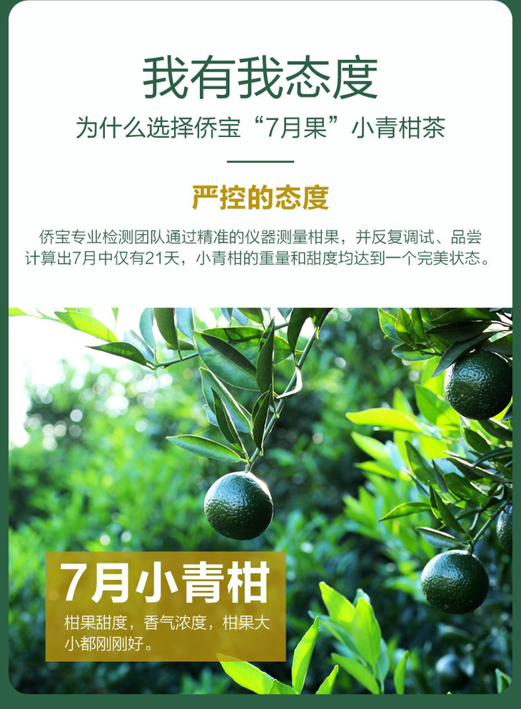 七月果小青柑普洱茶礼盒丨一茶两味送礼佳品丨150g盒