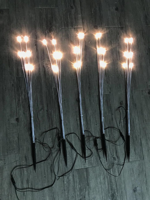 5头高光满天星地插【运费自理】 商品图1