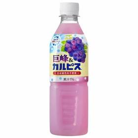 日本 CALPIS可尔必思限定巨峰葡萄味乳酸菌饮料 500ml(051546)