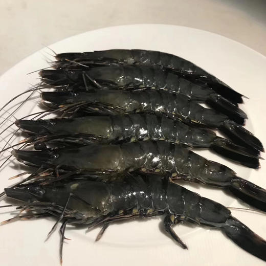 必乐鲜【pelagos】马来西亚鲜活冷冻黑虎虾 300g/盒 宝宝辅食/健身