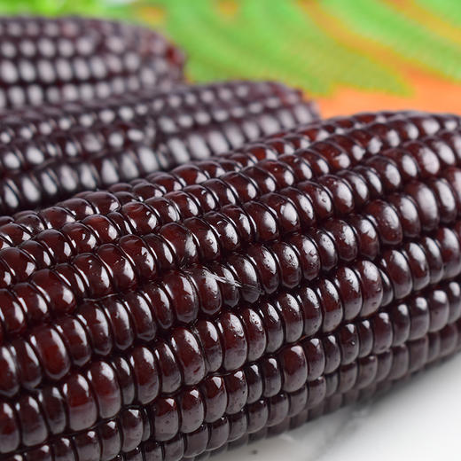 【东北特产】  黑糯玉米 嘎嘎好吃  补充花青素 220g*10 商品图4