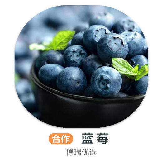 蓝莓精品(盒） 商品图0