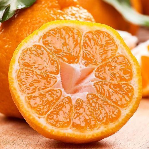 惊爆价2.8/斤(原价3.8) 不知火-丑橘8.6元/5个 约1600g 商品图4