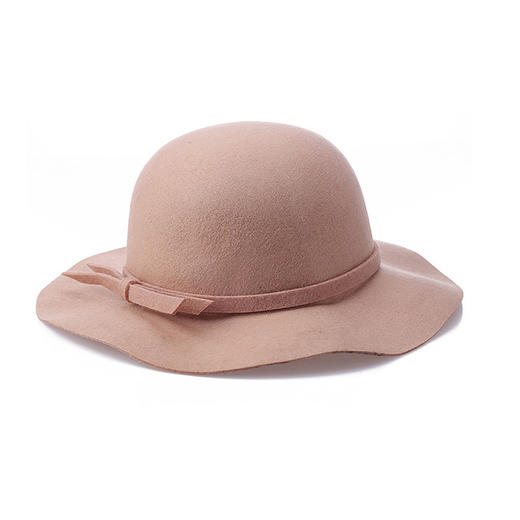 丁摩 帽子2020秋冬季简约新款纯羊毛帽WX187 商品图3