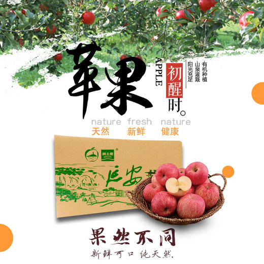 黄土情红富士苹果24头75mm 商品图1